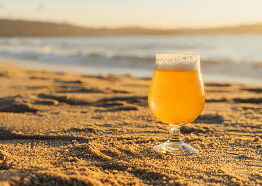 Homebrew 101 Series: How to Properly Brew a Gose