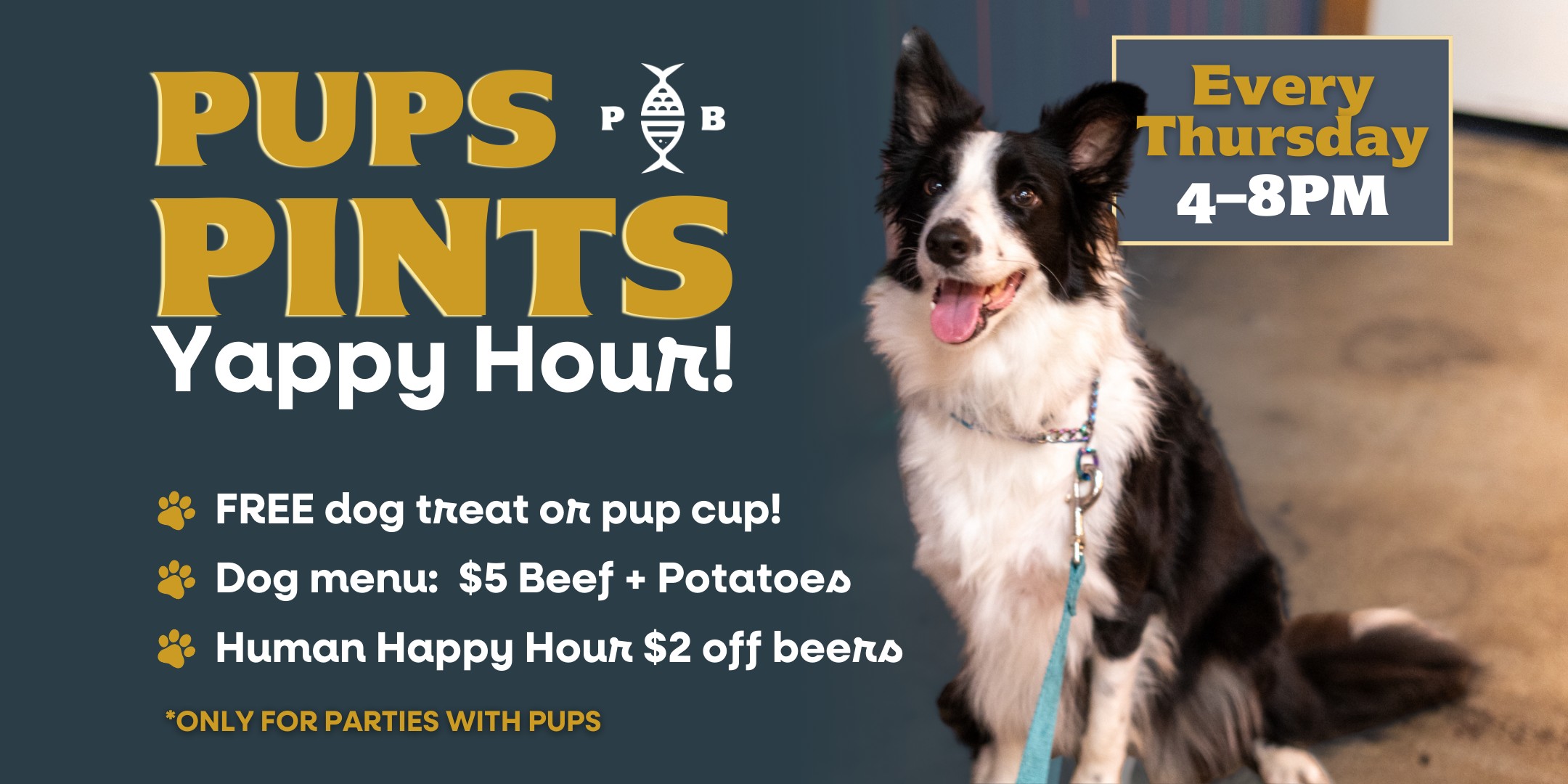 Pups N’ Pints at Pompano Beach Brewing Company